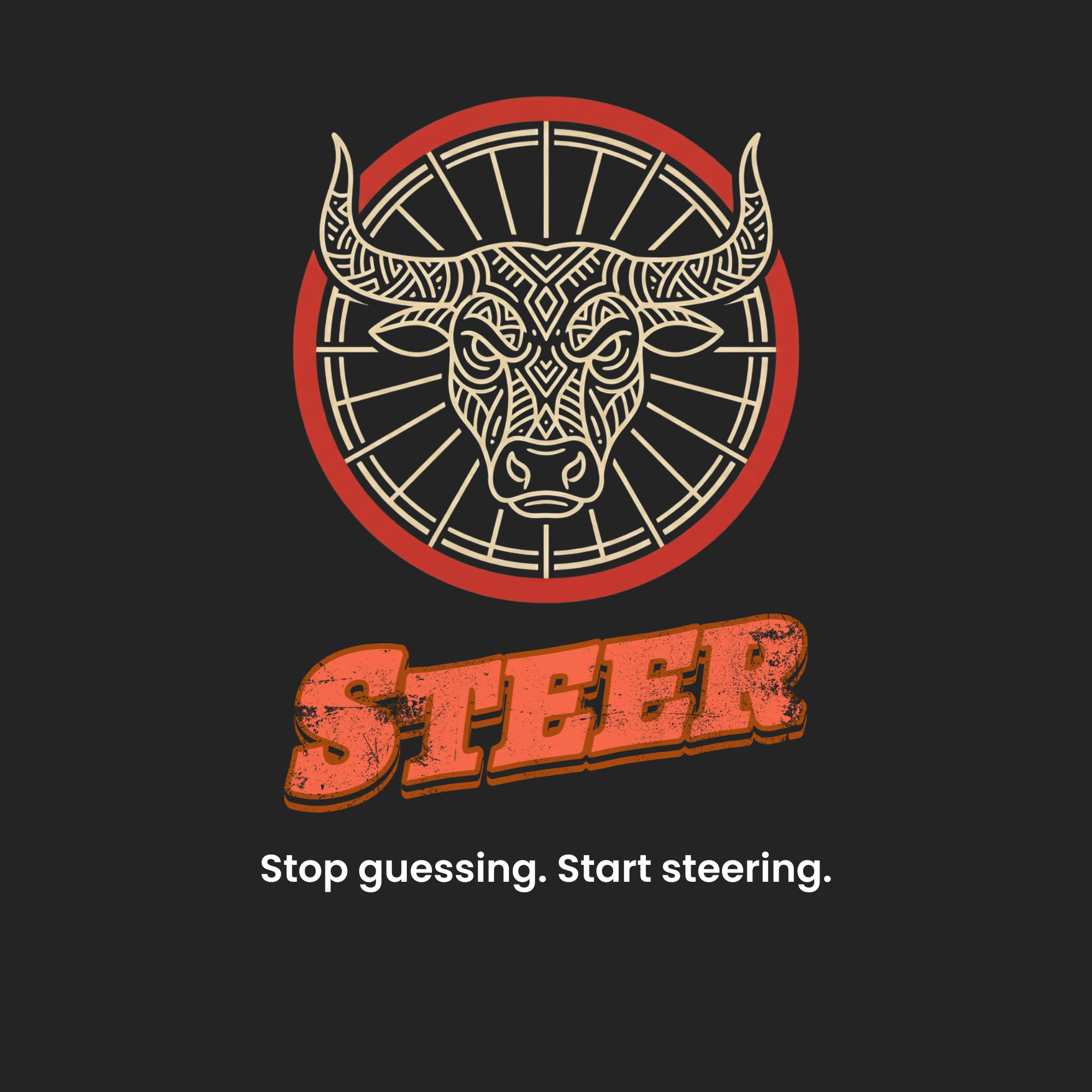 Steer logo: a bull's head in a red ring above the Steer wordmark